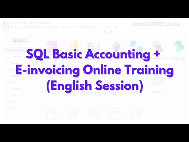 SQL Basic Accounting + E-invoicing Online Training (English Session) - Recorded Video 06/03/26