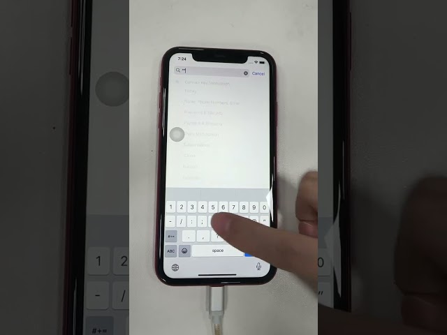 iPhone Latest Bug In Settings Search Cause Springboard Crashed #bug #apple #iphone