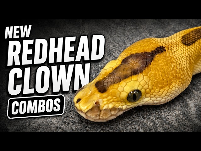 These Redhead Clown Combos Turned Out AMAZING