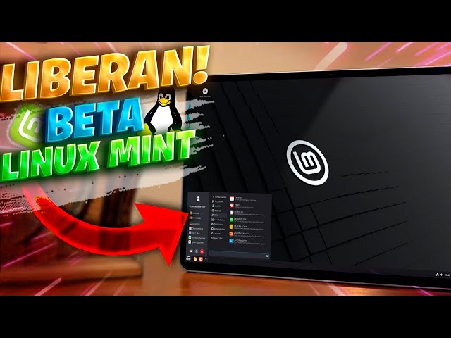 Linux Mint 22.3 Beta Released with Improvements / A Windows Replacement?