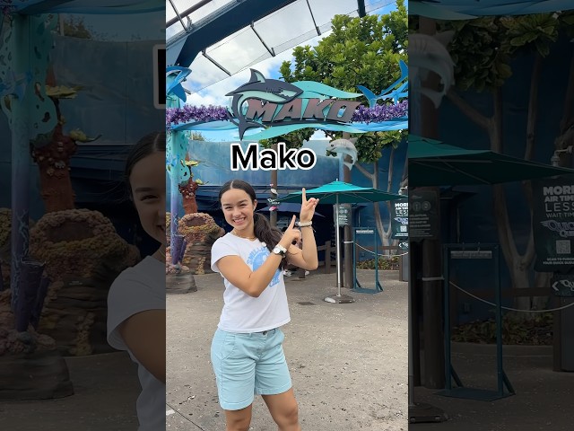 RiDiNG ON THE ROALER COASTERS at @SeaWorld  😳🎢 #fypシ゚ #funny #vacation #vlog #shorts #viral