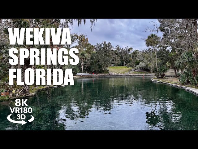 Wekiva Springs State Park Trails VR180 8K 3D | Sand Lake Loop, Boardwalk, Forest Hike VR视频 3D動画 VR旅行