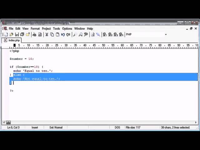 Beginner PHP Tutorial - Lesson №19 - If & Else If Statement