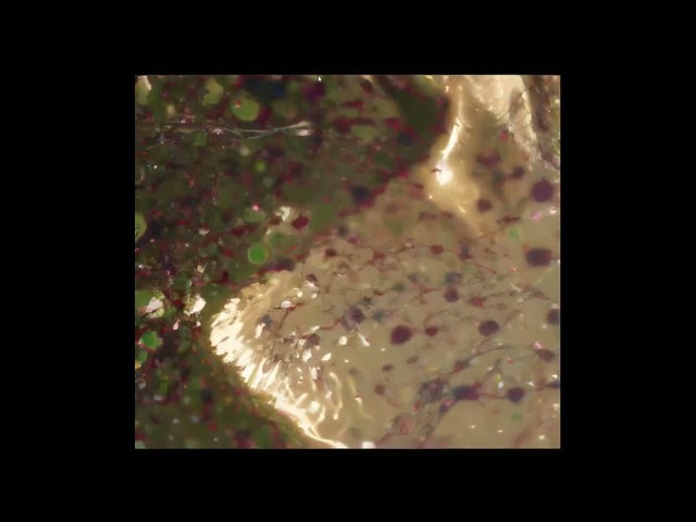 Wingel Mendoza - 28 tones of water