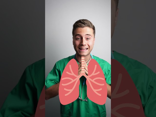 Ep.7 Anatomía del Tórax