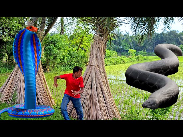 Anaconda | Cobra Snake in Real Life HD Video | A VFX Short Film