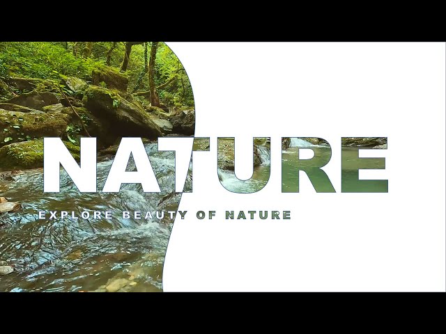 How to Make PowerPoint Presentation with Animation | PowerPoint Nature Title Slide Design