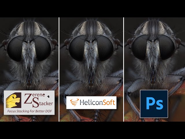Zerene Stacker vs Helicon Focus vs Photoshop for Focus Stacking
