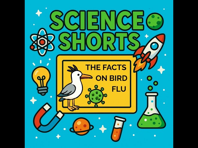 Bird Flu Has Reached Australia… Now What? Science Short