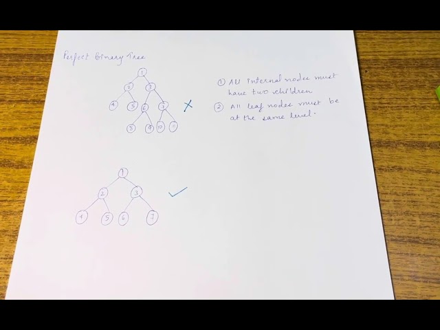 Perfect Binary Tree