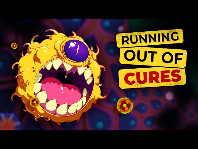 Antibiotic resistance explained (and how we can fix it)