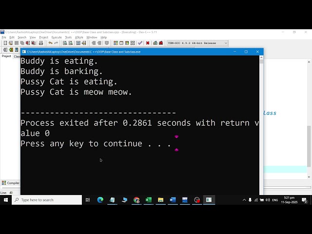 OOP Base Class and Sub Class in C++