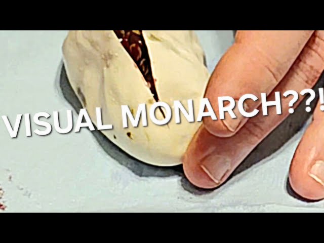 We Hit a VISUAL Monarch!!  (But I need your help...)