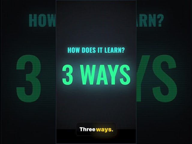 The AI Stack: Decoded