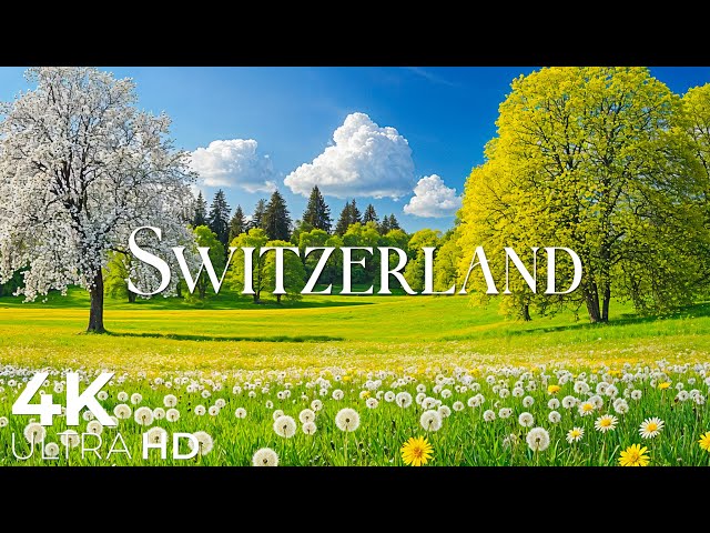Switzerland in Spring 4K 🌿 The Beauty of Blooming Valleys & Flowing River