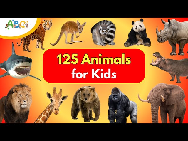Learn Animal Names and Fun Facts with 125 Wild Animals for Kids