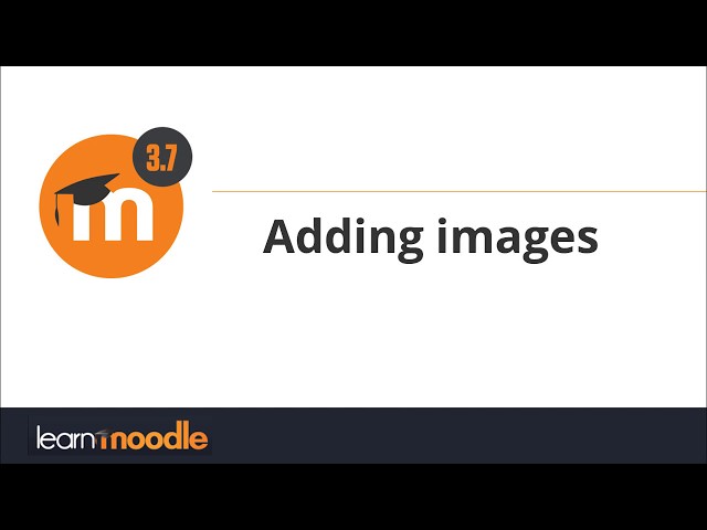 3.7 Adding images