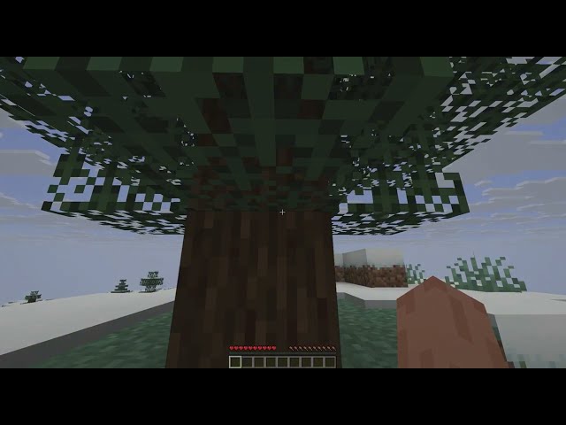 Minecraft but everytime I move I get skinned