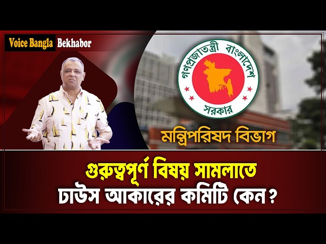 গুরুত্বপূর্ণ বিষয় সামলাতে ঢাউস আকারের কমিটি কেন? I Mostofa Feroz I Voice Bangla