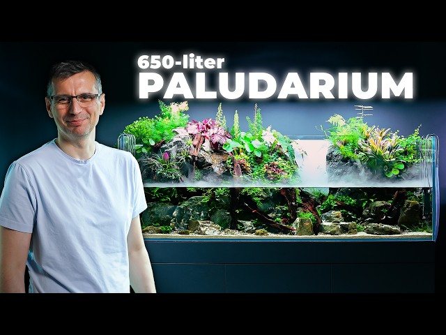 Building a 650-liter Paludarium With Waterfalls & Mist