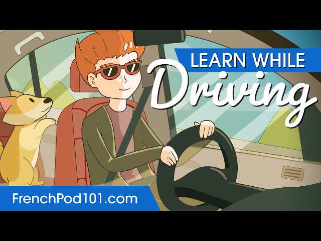 Learn French While Driving 2 Hours - ALL Basic Phrases You Need