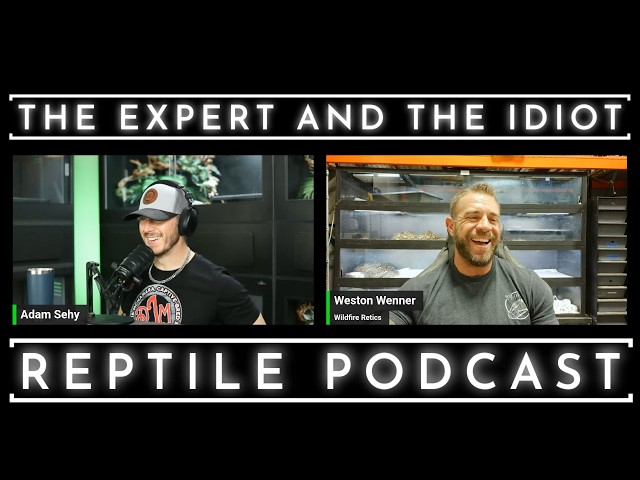 133 - Breeding GIANT Pythons with Weston Wenner of Wildfire Retics - The Expert and The Idiot