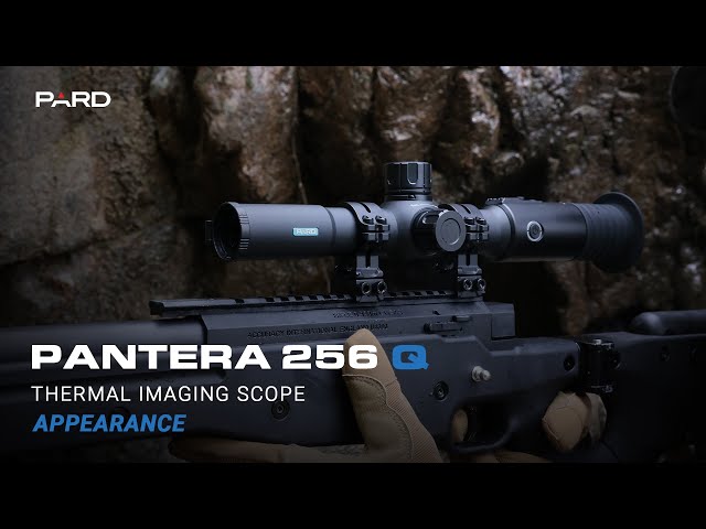PARD NEW PANTERA 256 Q | APPEARANCE