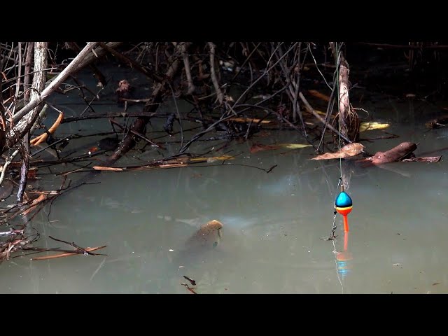 The fierce fishing spot was unbeatable when it was first opened #SG-442