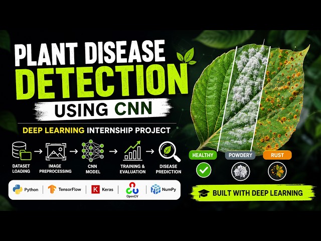 Plant Disease Detection Using CNN | Deep Learning Internship Project | iBase | Python & TensorFlow