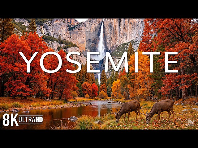 Yosemite National Park in Autumn 8K 🍁 Discover Half Dome, El Capitan & Fall Colors | Video 8K