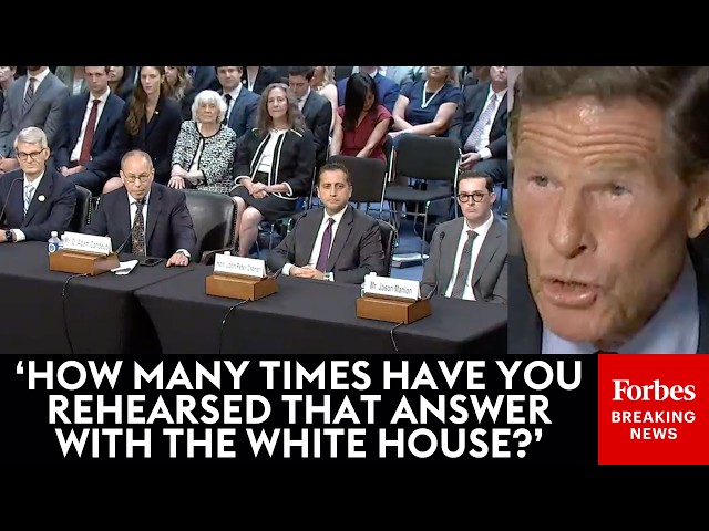 'Who Won The 2020 Election?': Blumenthal Gets Fed Up With Trump Judge Nominees