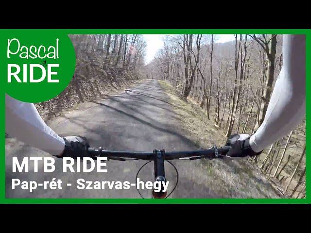From Paprét to Szarvashegy (Hungary) | Single Speed | 32-17 | Csepel WOODLANDS EXPERT