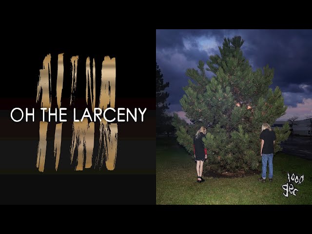 Patrick Stump, Oh The Larceny – Can't Stop Me Now (Crushed By A Mallet Remix) #乱花渐欲迷人眼 (Audio)