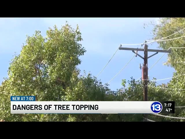 The dangers of tree topping