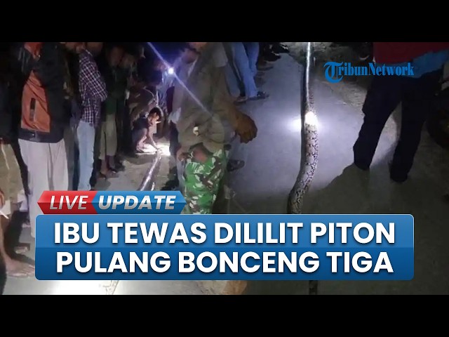 Husband and Son in Mubar Cut Off Python Wrapped Around WH, Three People Carry Home Mother's Body