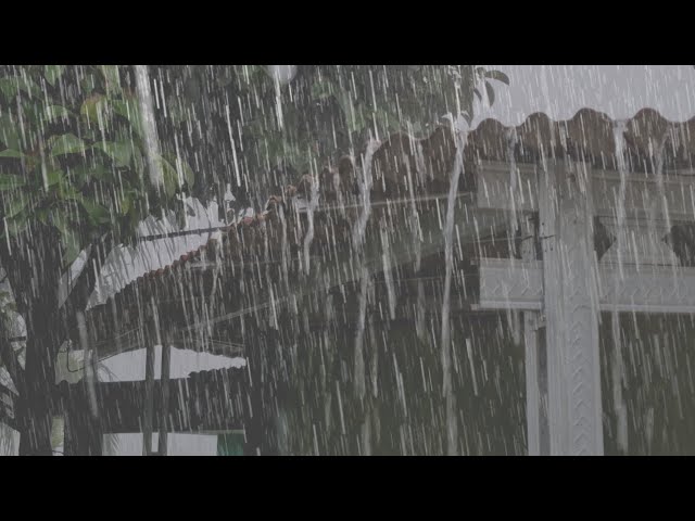 Super heavy rain on the zinc roof, deep healing for insomnia and tinnitus, ASMR