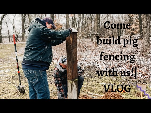 Come build pig fencing with us! | VLOG