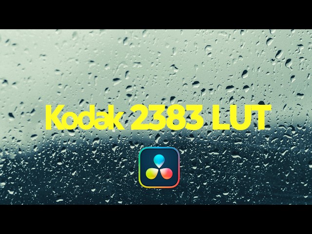 How to color grade with the Kodak 2383, FujiFilm 3513 LUTs | DaVinci Resolve Tutorial