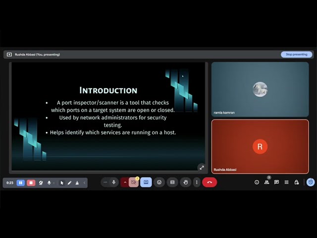 c language port scanner code explanation