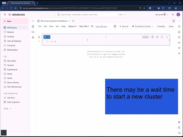 Databricks Notebooks