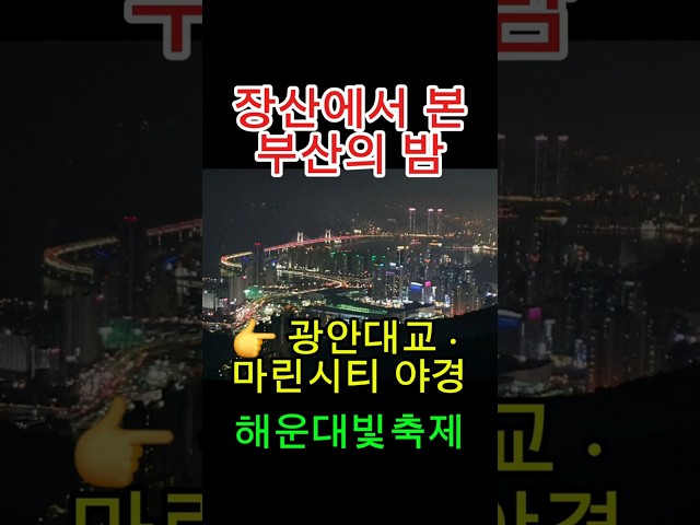 6년 전 오늘, 부산 장산에서 만난 야경 │ 광안대교·마린시티·해운대 빛축제