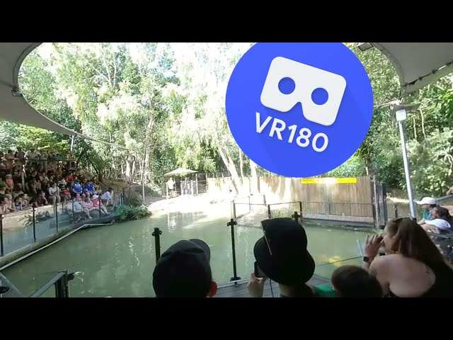 [VR180 VR 3D] Crocodile Attack Show Pt4 @ Hartley's Crocodile Adventures | Family Virtual Reality