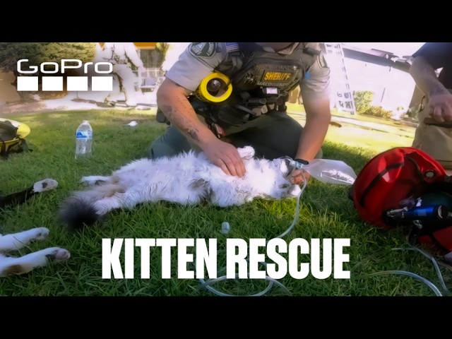 GoPro Awards: Firefighter Saves Kittens