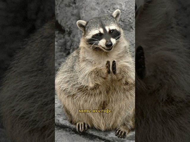 The difference between batch normalization and layer normalization in 25 seconds