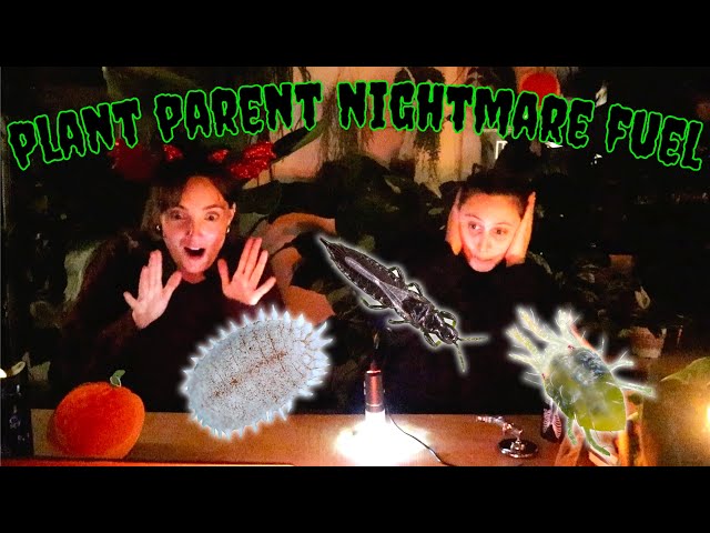 looking at pests with a microscope 😱🔬a plant parent's nightmare