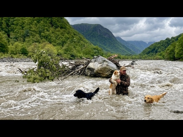 At the bushcraft wilderness camp my dogs and I crossed a dangerous river and it almost swept us away