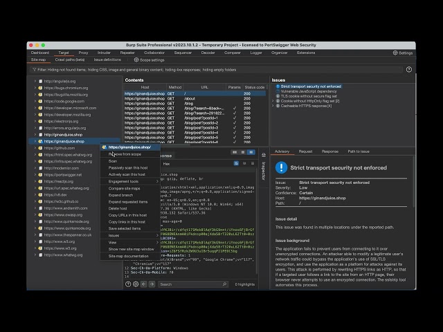 Automated content discovery with Burp Suite