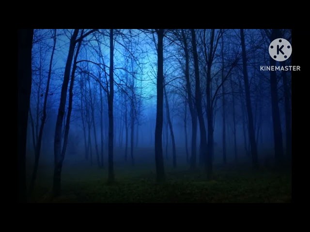 Video random parte 6 =U.  