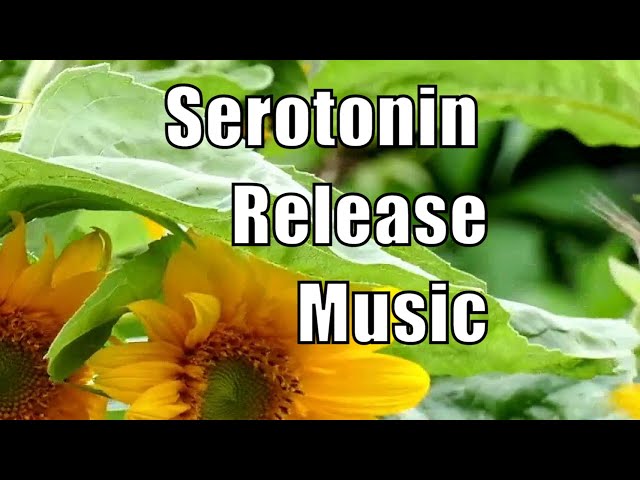 Serotonin, Endorphins &  Dopamine Release Music - Binaural Beats - Happiness Booster Music