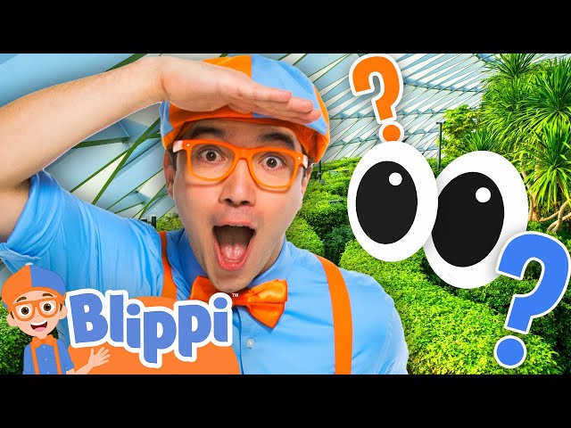 I Spy with My Little Eye… Blippi plays at Jewel Changi! 👀